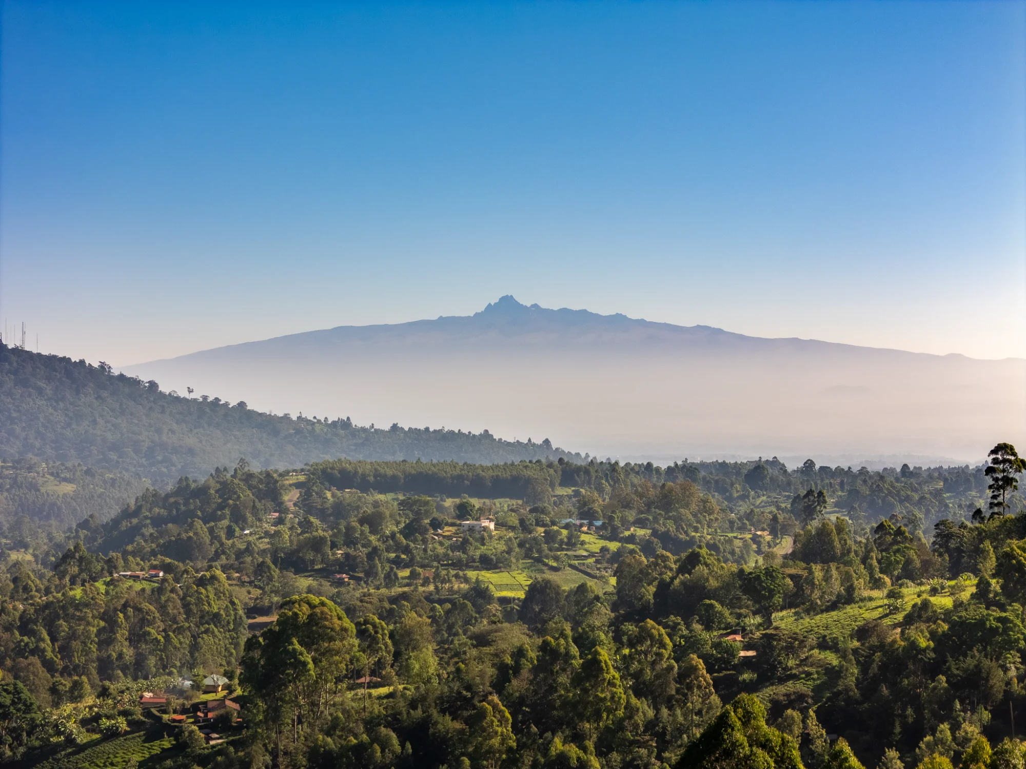 Paradise Mountain View